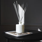 Scent inspired by Daily Routine Shampoo